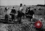 Image of potato harvest Germany, 1940, second 43 stock footage video 65675080992