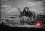 Image of Slovak military combat exercise Slovak Republic, 1940, second 21 stock footage video 65675080994