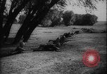 Image of Slovak military combat exercise Slovak Republic, 1940, second 31 stock footage video 65675080994