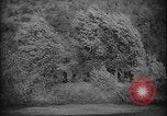 Image of Slovak military combat exercise Slovak Republic, 1940, second 43 stock footage video 65675080994
