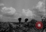 Image of Warsaw surrender negotiations Warsaw Poland, 1939, second 3 stock footage video 65675080996