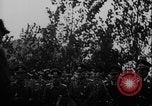 Image of Warsaw surrender negotiations Warsaw Poland, 1939, second 59 stock footage video 65675080996