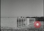 Image of Harlow New Town Harlow England United Kingdom, 1954, second 58 stock footage video 65675081003