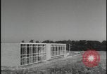 Image of Harlow New Town Harlow England United Kingdom, 1954, second 60 stock footage video 65675081003