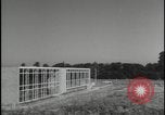 Image of Harlow New Town Harlow England United Kingdom, 1954, second 61 stock footage video 65675081003