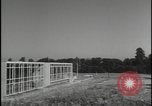 Image of Harlow New Town Harlow England United Kingdom, 1954, second 62 stock footage video 65675081003