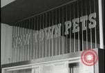 Image of Harlow England town center Harlow England United Kingdom, 1954, second 49 stock footage video 65675081004