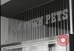 Image of Harlow England town center Harlow England United Kingdom, 1954, second 50 stock footage video 65675081004
