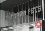 Image of Harlow England town center Harlow England United Kingdom, 1954, second 51 stock footage video 65675081004