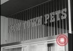Image of Harlow England town center Harlow England United Kingdom, 1954, second 54 stock footage video 65675081004