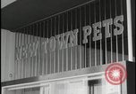 Image of Harlow England town center Harlow England United Kingdom, 1954, second 55 stock footage video 65675081004