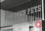 Image of Harlow England town center Harlow England United Kingdom, 1954, second 56 stock footage video 65675081004