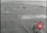 Image of Overgrown Royal Air Force runway Molesworth England United Kingdom, 1954, second 9 stock footage video 65675081007