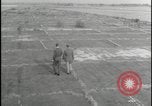 Image of Overgrown Royal Air Force runway Molesworth England United Kingdom, 1954, second 13 stock footage video 65675081007