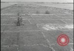 Image of Overgrown Royal Air Force runway Molesworth England United Kingdom, 1954, second 21 stock footage video 65675081007