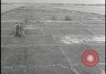 Image of Overgrown Royal Air Force runway Molesworth England United Kingdom, 1954, second 22 stock footage video 65675081007