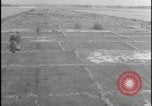 Image of Overgrown Royal Air Force runway Molesworth England United Kingdom, 1954, second 23 stock footage video 65675081007