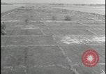 Image of Overgrown Royal Air Force runway Molesworth England United Kingdom, 1954, second 24 stock footage video 65675081007