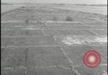 Image of Overgrown Royal Air Force runway Molesworth England United Kingdom, 1954, second 26 stock footage video 65675081007