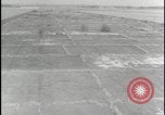 Image of Overgrown Royal Air Force runway Molesworth England United Kingdom, 1954, second 28 stock footage video 65675081007