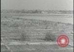 Image of Overgrown Royal Air Force runway Molesworth England United Kingdom, 1954, second 29 stock footage video 65675081007