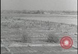 Image of Overgrown Royal Air Force runway Molesworth England United Kingdom, 1954, second 30 stock footage video 65675081007