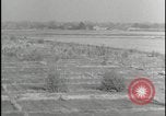 Image of Overgrown Royal Air Force runway Molesworth England United Kingdom, 1954, second 31 stock footage video 65675081007
