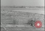 Image of Overgrown Royal Air Force runway Molesworth England United Kingdom, 1954, second 35 stock footage video 65675081007