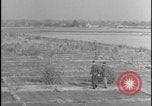 Image of Overgrown Royal Air Force runway Molesworth England United Kingdom, 1954, second 36 stock footage video 65675081007