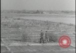 Image of Overgrown Royal Air Force runway Molesworth England United Kingdom, 1954, second 37 stock footage video 65675081007