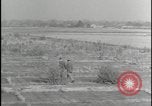 Image of Overgrown Royal Air Force runway Molesworth England United Kingdom, 1954, second 40 stock footage video 65675081007
