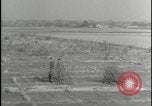 Image of Overgrown Royal Air Force runway Molesworth England United Kingdom, 1954, second 41 stock footage video 65675081007