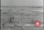 Image of Overgrown Royal Air Force runway Molesworth England United Kingdom, 1954, second 45 stock footage video 65675081007