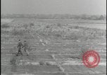Image of Overgrown Royal Air Force runway Molesworth England United Kingdom, 1954, second 46 stock footage video 65675081007