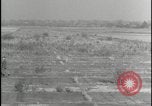 Image of Overgrown Royal Air Force runway Molesworth England United Kingdom, 1954, second 48 stock footage video 65675081007