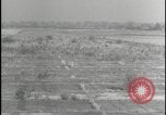 Image of Overgrown Royal Air Force runway Molesworth England United Kingdom, 1954, second 50 stock footage video 65675081007