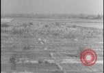 Image of Overgrown Royal Air Force runway Molesworth England United Kingdom, 1954, second 51 stock footage video 65675081007