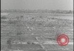 Image of Overgrown Royal Air Force runway Molesworth England United Kingdom, 1954, second 52 stock footage video 65675081007