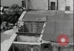 Image of View of Westminster London London England United Kingdom, 1954, second 34 stock footage video 65675081008