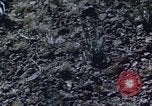 Image of abandoned structures United States USA, 1951, second 37 stock footage video 65675081009