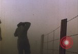 Immagine di danni alle colture causati dalla piaga delle cavallette United States USA, 1951, secondo 35 filmato di repertorio 65675081010