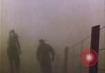 Immagine di danni alle colture causati dalla piaga delle cavallette United States USA, 1951, secondo 37 filmato di repertorio 65675081010