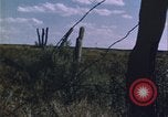 Immagine di danni alle colture causati dalla piaga delle cavallette United States USA, 1951, secondo 44 filmato di repertorio 65675081010