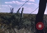 Immagine di danni alle colture causati dalla piaga delle cavallette United States USA, 1951, secondo 45 filmato di repertorio 65675081010