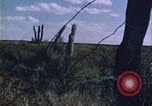 Immagine di danni alle colture causati dalla piaga delle cavallette United States USA, 1951, secondo 47 filmato di repertorio 65675081010