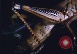 Image of grasshopper species destroy crops United States USA, 1951, second 17 stock footage video 65675081011