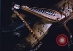 Image of grasshopper species destroy crops United States USA, 1951, second 18 stock footage video 65675081011
