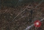 Image of grasshopper species destroy crops United States USA, 1951, second 51 stock footage video 65675081011