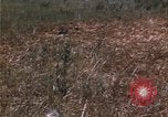 Image of grasshopper species destroy crops United States USA, 1951, second 52 stock footage video 65675081011