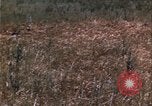 Image of grasshopper species destroy crops United States USA, 1951, second 53 stock footage video 65675081011